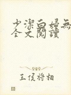 少洁白妇无删减全文阅读