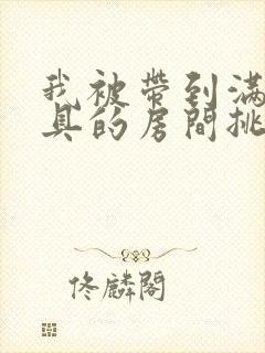 我被带到满是玩具的房间挑调作文