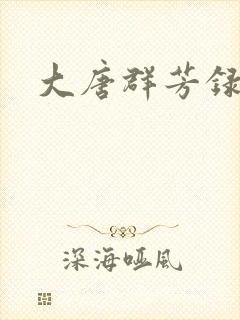 大唐群芳录封面