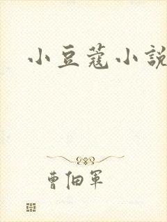 小豆蔻小说封面