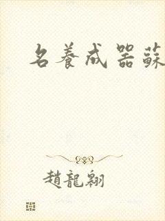 名养成器苏沫沫
