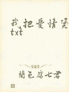 我把爱情煲成汤txt