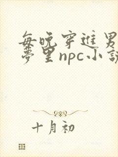 每晚穿进男神的梦里npc小说