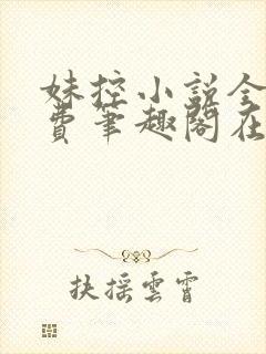 妹控小说全文免费笔趣阁在线阅读封面