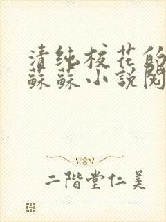 清纯校花的日常苏苏小说阅读全文