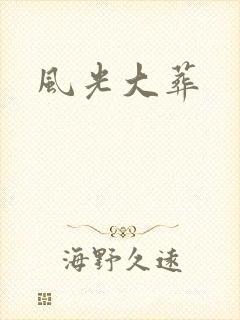 风光大葬封面