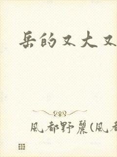 岳的又大又肥