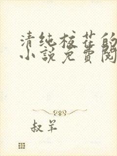 清纯校花的秘密小说免费阅读