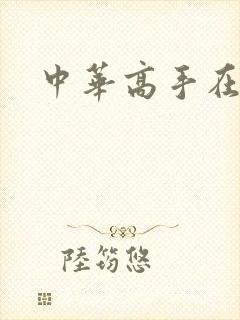 中华高手在异世封面