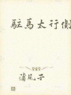 驻马太行侧