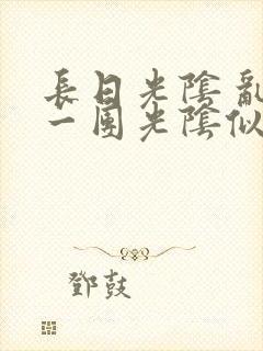 长日光阴 乱作一团光阴似箭封面