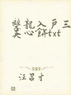双龙入户三人行夹心饼txt