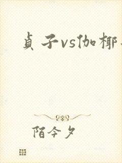 贞子vs伽椰子封面
