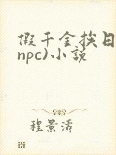 假千金挨日记(npc)小说