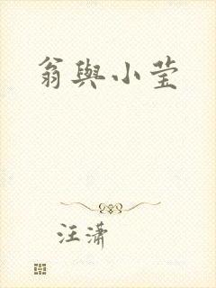 翁与小莹封面
