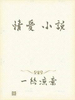 情爱 小说