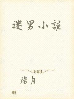 迷男小说