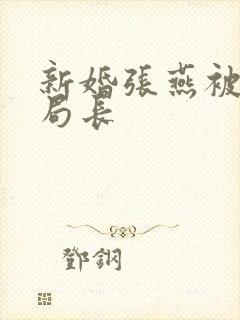 新婚张燕被两个局长封面