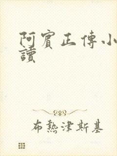 阿宾正传小说在读