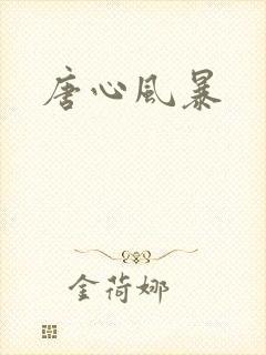 唐心风暴封面