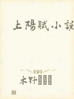 上阳赋小说