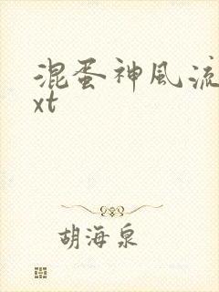 混蛋神风流史txt封面