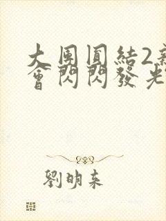 大团圆结2亲情会闪闪发光亲情会2封面