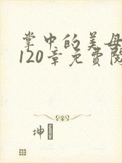 掌中的美母版主120章免费阅读