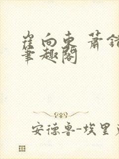 崔向东 萧错 笔趣阁封面