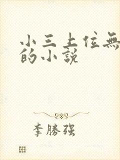 小三上位无三观的小说