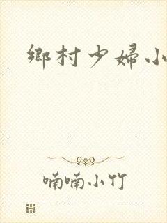 乡村少妇小说