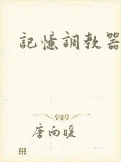 记忆调教器