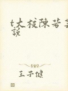 t大校陈若芸小说封面