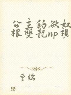 公主的欲奴h四根双龙np视频