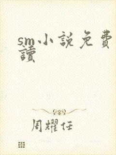sm小说免费阅读