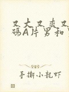 又大又爽又黄无码A片男和男