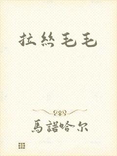 拉丝毛毛