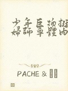 少年巨物挺进美妇师尊体内