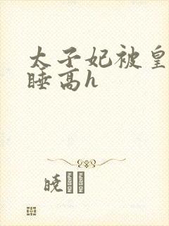 太子妃被皇上强睡高h