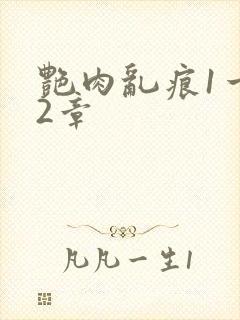 艳肉乱痕1一12章封面