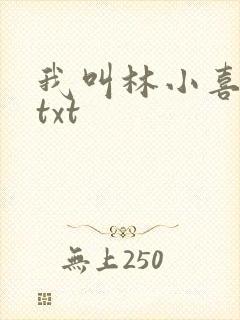 我叫林小喜小说txt封面