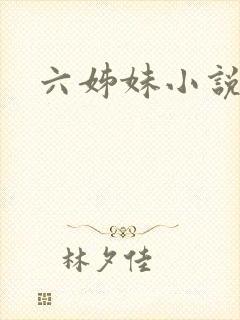 六姊妹小说