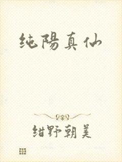 纯阳真仙封面