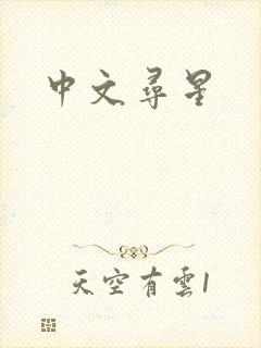 中文寻星