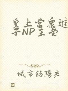 皇上当众进入太子NP主受