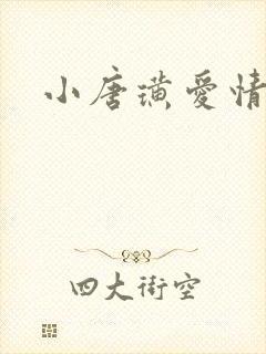 小唐璜爱情历史