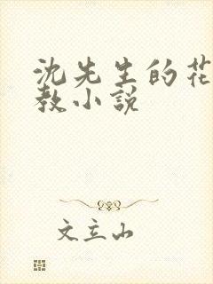 沈先生的花式管教小说