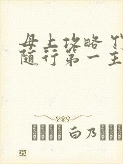 母上攻略 竹影随行第一主板