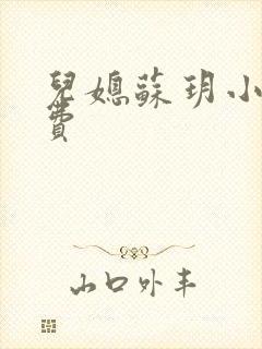 儿媳苏玥小说免费封面