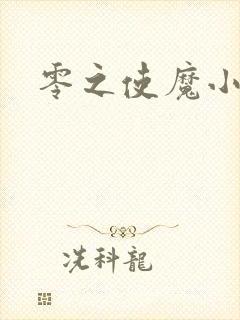 零之使魔小说